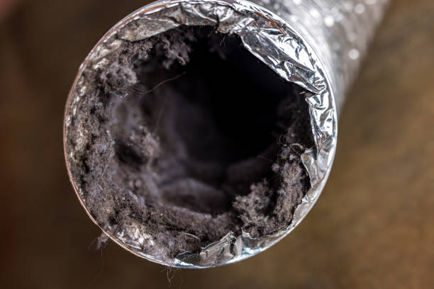 Best HVAC Duct Inspection Services  in Bisbee, AZ