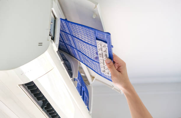 Best Affordable Duct Cleaning Services  in Bisbee, AZ